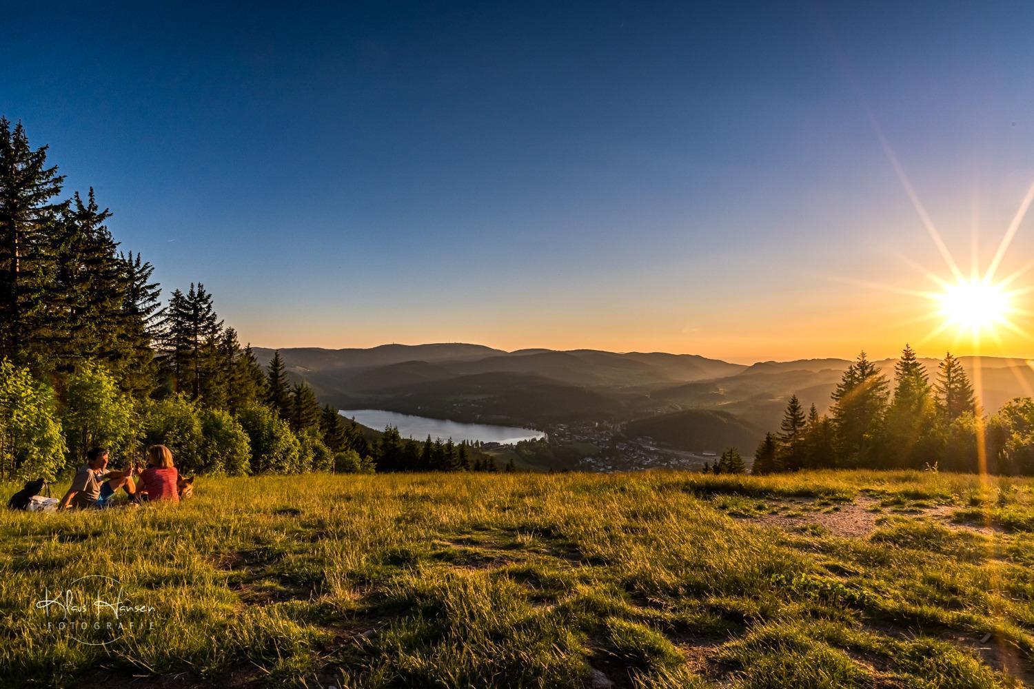 Apartment 13 - Ferienresidenz Roseneck, Mit Schwimmbad In Todtnauberg Bei Feldberg Eksteriør billede