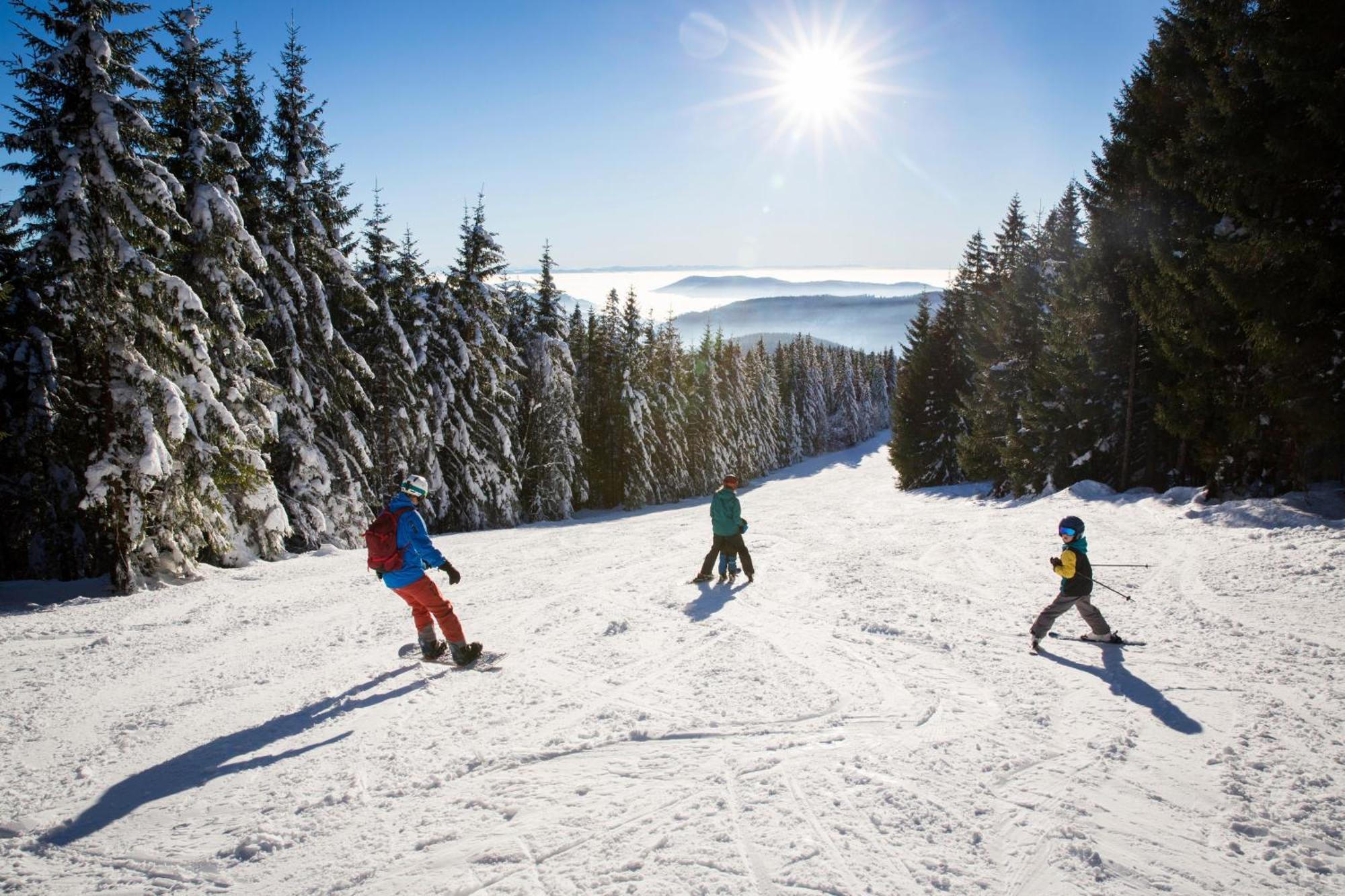 Apartment 13 - Ferienresidenz Roseneck, Mit Schwimmbad In Todtnauberg Bei Feldberg Eksteriør billede