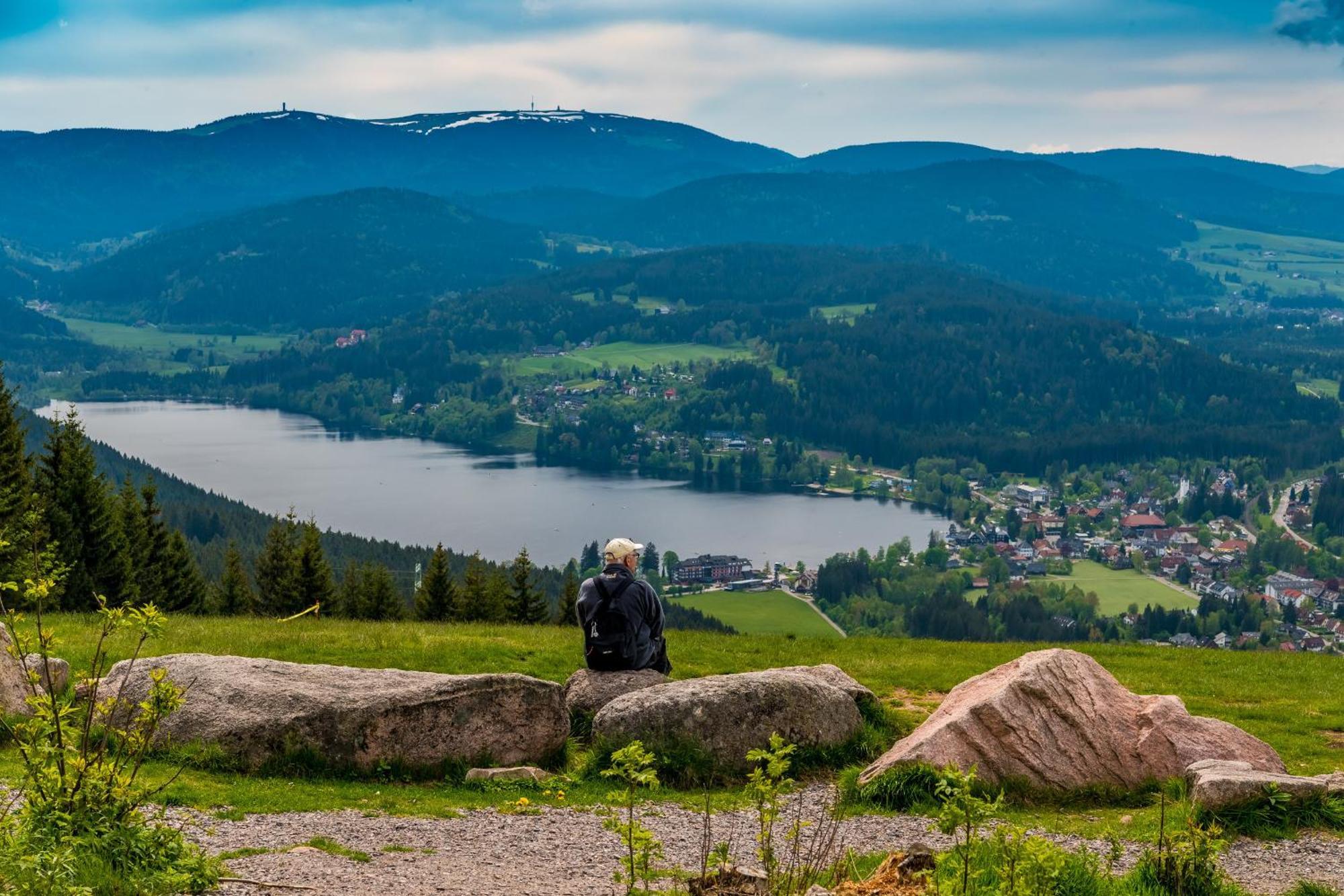 Apartment 13 - Ferienresidenz Roseneck, Mit Schwimmbad In Todtnauberg Bei Feldberg Eksteriør billede