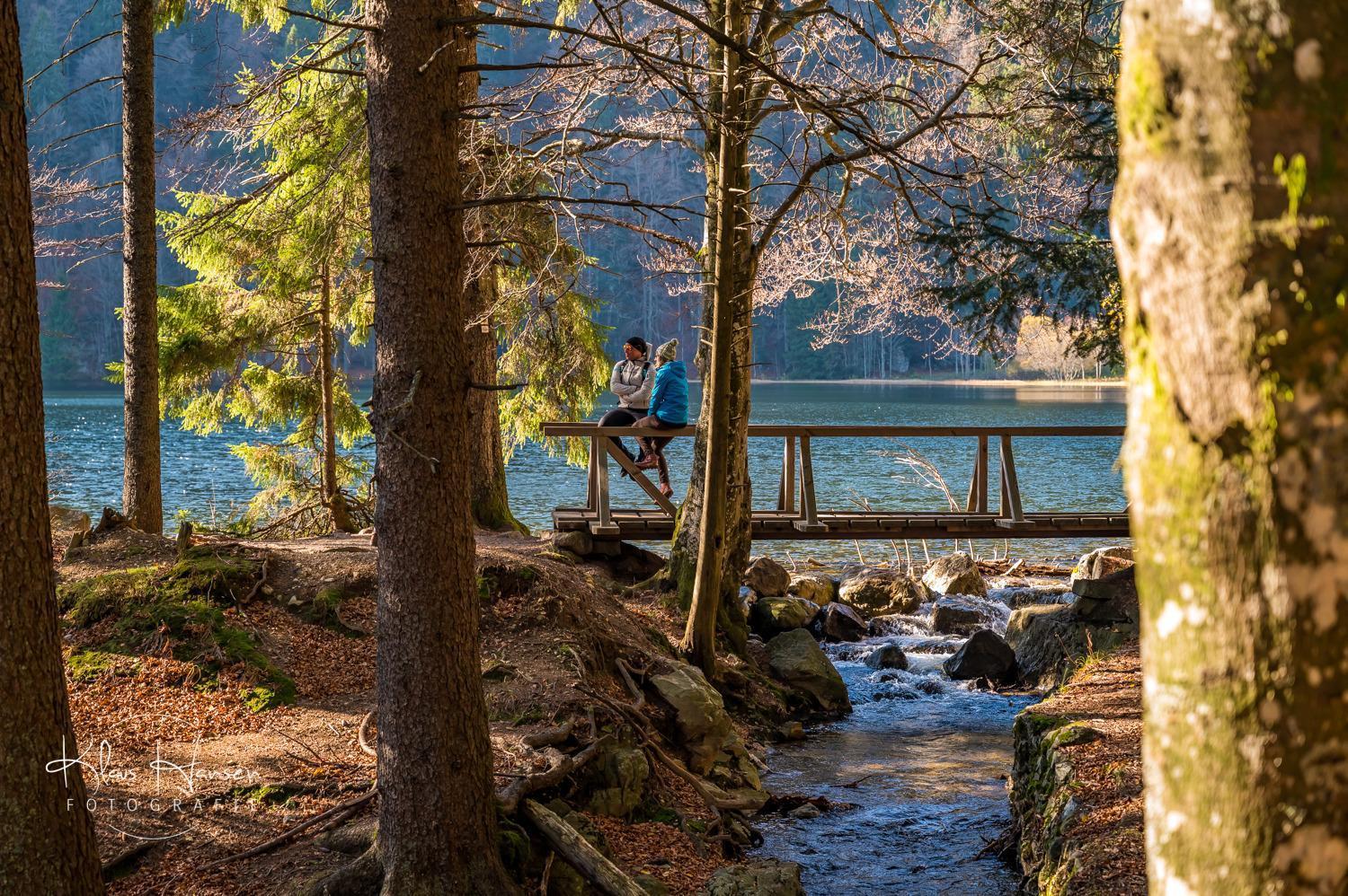 Apartment 13 - Ferienresidenz Roseneck, Mit Schwimmbad In Todtnauberg Bei Feldberg Eksteriør billede