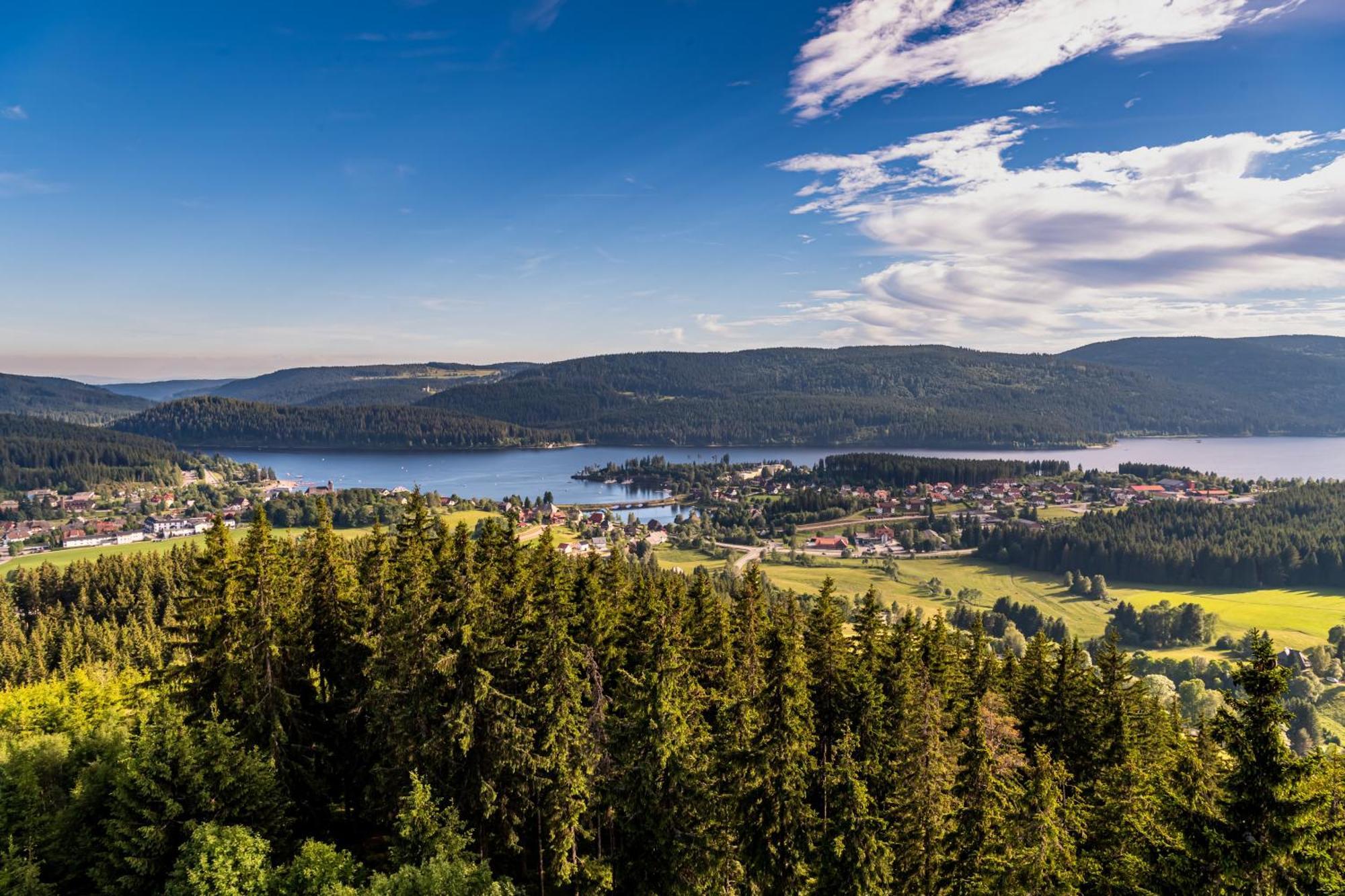 Apartment 13 - Ferienresidenz Roseneck, Mit Schwimmbad In Todtnauberg Bei Feldberg Eksteriør billede