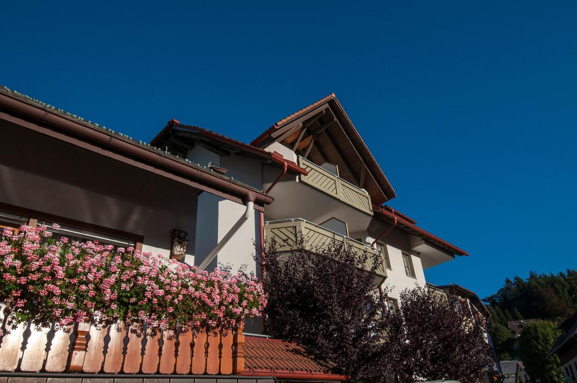 Apartment 13 - Ferienresidenz Roseneck, Mit Schwimmbad In Todtnauberg Bei Feldberg Eksteriør billede