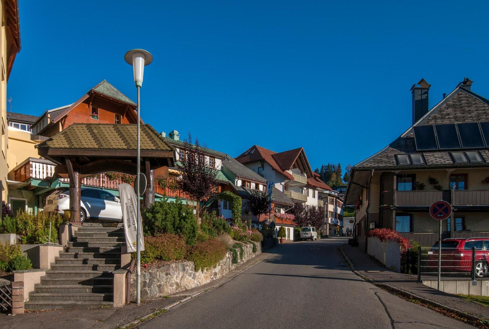 Apartment 13 - Ferienresidenz Roseneck, Mit Schwimmbad In Todtnauberg Bei Feldberg Eksteriør billede