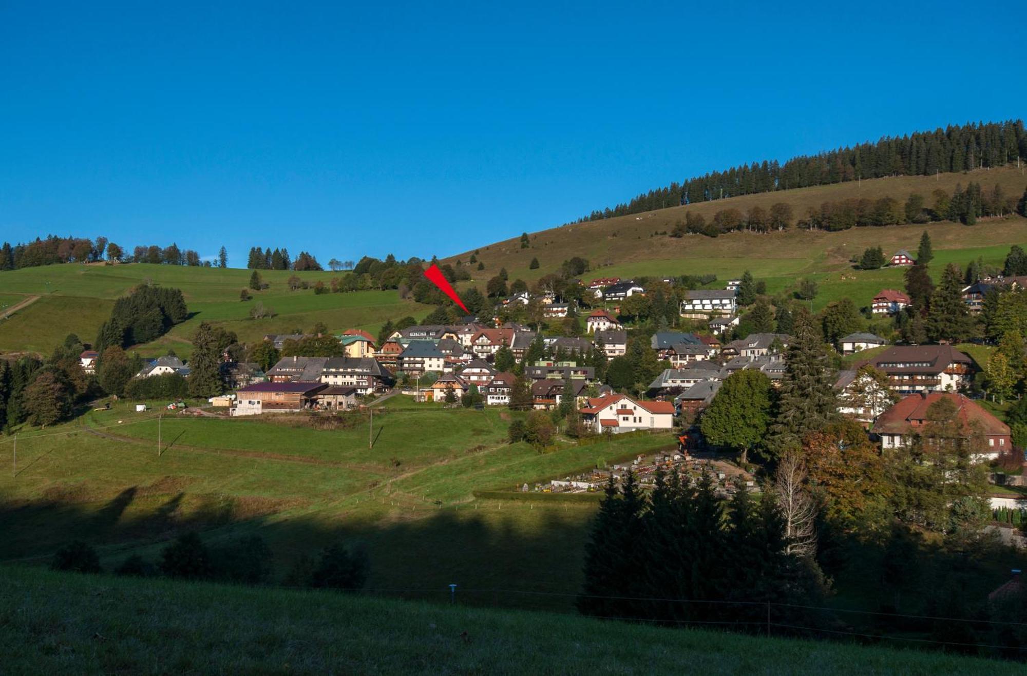 Apartment 13 - Ferienresidenz Roseneck, Mit Schwimmbad In Todtnauberg Bei Feldberg Eksteriør billede